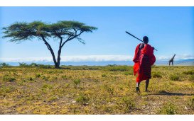 A taylor made seminar!